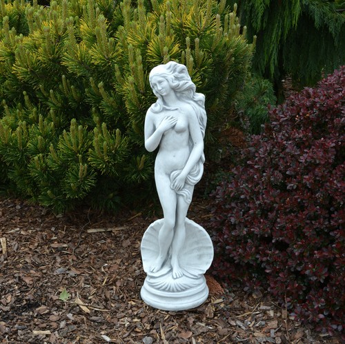 Geburt der venus frau figur - geburt, frau-figur