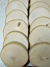 Holzscheibe esche 12 - x,