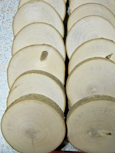 Holzscheibe esche 12 cm - x,