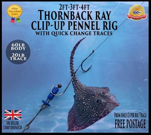 Sea rigs thornback - sea, rigs,