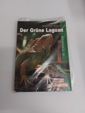 Der Grüne Leguan – Gunther Köhler | Pflege, Haltung & Zucht im Terrarium