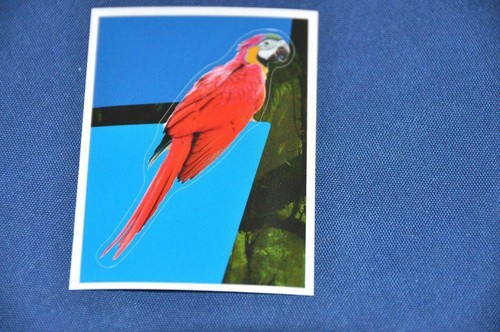 Rewe abenteuer tierwelt - rewe,