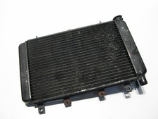 Wasserkühler Kühler Kuehler