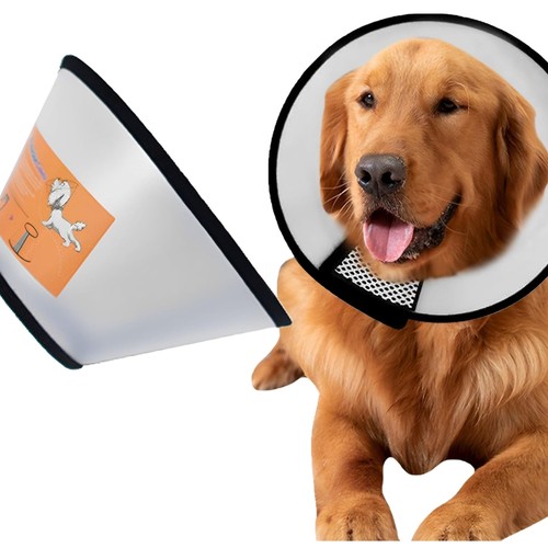 Hundekegel halsband - hundekegel,