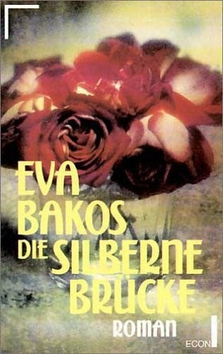 Die silberne brücke buch - die,