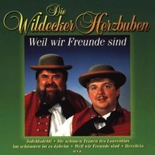 Weil wir freunde sind von - wir,