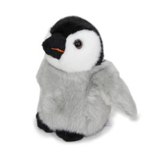 Pinguin Baby Küken