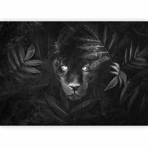 Schwarzer panther dschungel - schwarzer,