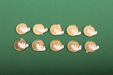 10x Glückscent Taubenpaar