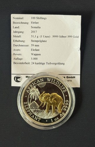 Somalia elefant 2017 - somalia,
