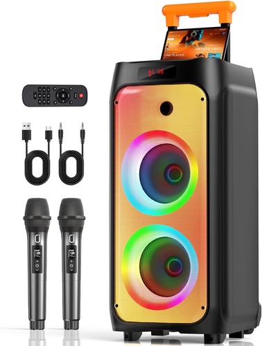 Karaoke lautsprecher 500w - karaoke, dual