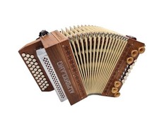 Steirische Harmonika Alpenklang G C F mit Koffer & Riemen guter Zustand