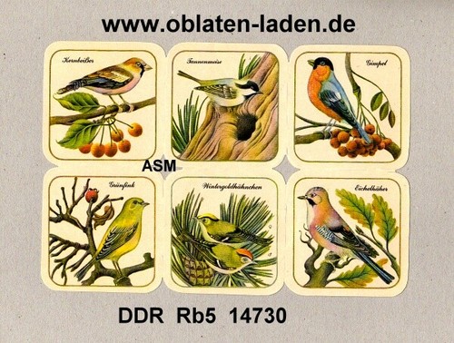 Ddr rb5 14730 kompletter - ddr,