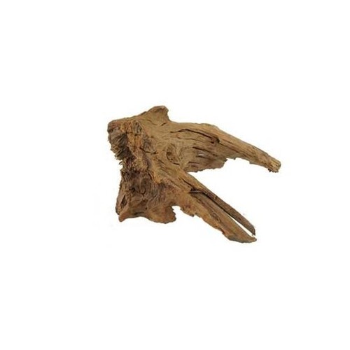 Hobby mangrovenholz 55 - l,