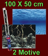 Aquarium Deko ❤️