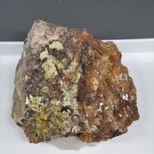 🔥Video🌈Schöne Autunit