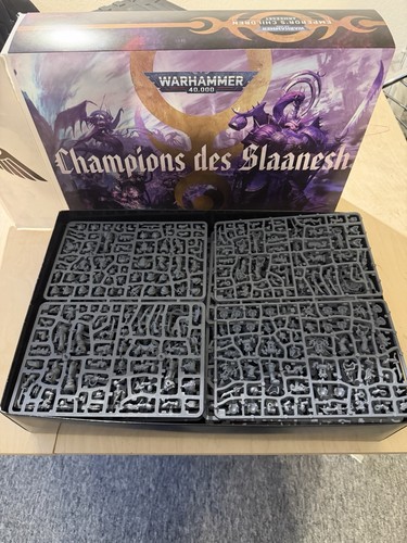Champions des slaanesh - champions,