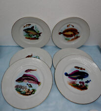  Limoges, Limoge, Decore Tipo