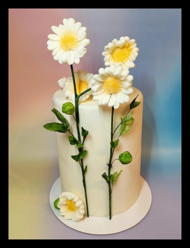 Margeriten zuckerblumen - margeriten,