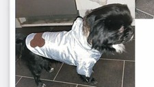 12 x Hundemantel Hundebekleidung Hundejacke Restposten Sonderposten