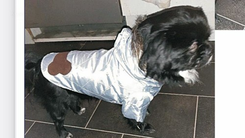 Hundemantel - x,