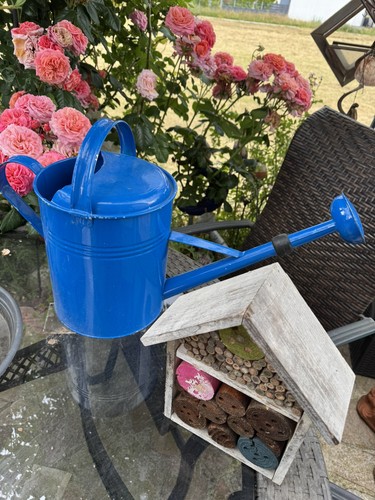 Np60 liter zink gießkanne - 10,