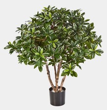 artplants Japanischer Deko