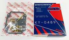 Vergaser Reparatur Satz