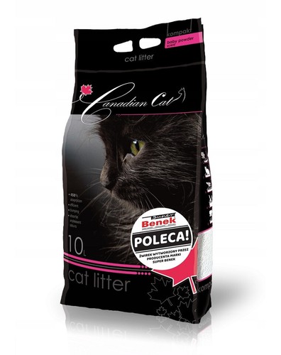 Benek canadian cat - benek,