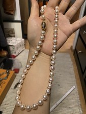 schoeffel 750 Große Akoya