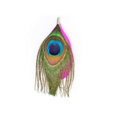 Ausverkauf Feder Pfau 10x4cm