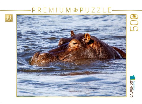 Calvendo puzzle flusspferd - calvendo,