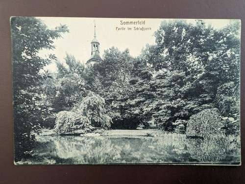 Sommerfeld schloss lubsko - ak, schloss,