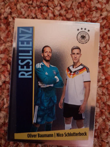 Panini edeka dfb - panini,