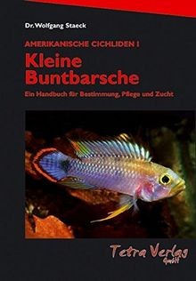 Kleine buntbarsche auflage - kleine, (9.