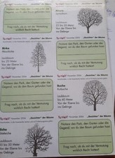 Montessori Sachkunde Kartei "Bäume" Freiarbeit Lerntheke Kopiervorlage