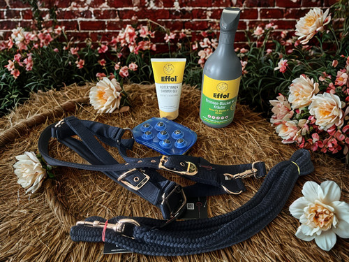 Geschenkset für pferd und - für,