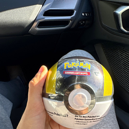 The pokémon company - the,