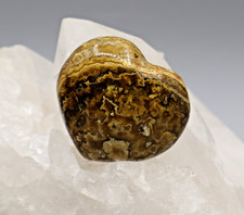 OCEAN JASPIS OZEAN ACHAT Herz