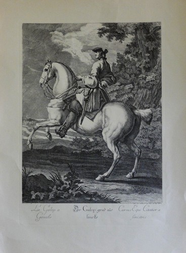Johann ridinger - johann, e