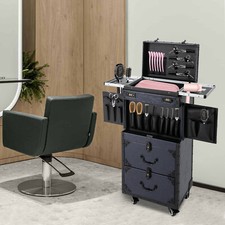 Professional Makeup Case