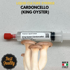 Cardoncello Liquid Cultura