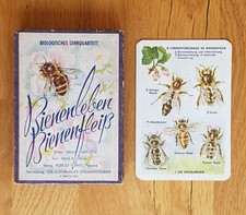 DDR Kartenspiel Bienenleben