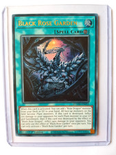 Schwarzer Rosengarten