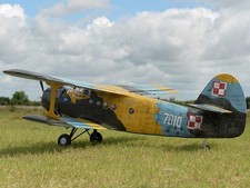 Black Horse - Antonov AN-2