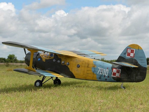 Black horse antonov an 2 - black, an-2