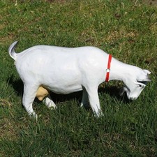 Ziege Zicklein fressend