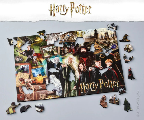 The wizarding world - the,