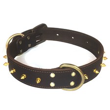 Hundehalsband Leder Hunde