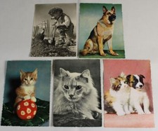 C11 postkarten hunde und - c11/, 4